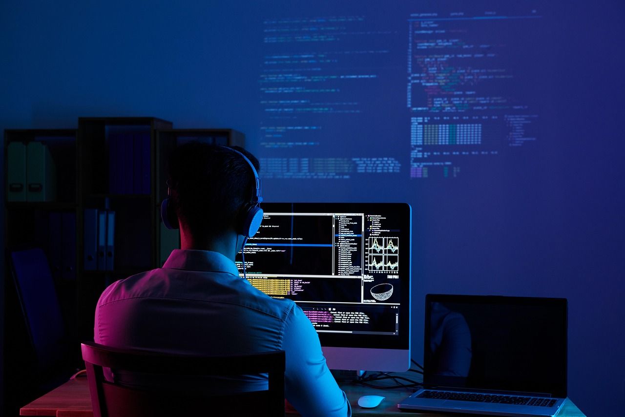 Programming and Software Development